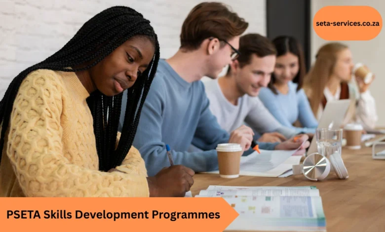 PSETA Skills Development Programmes