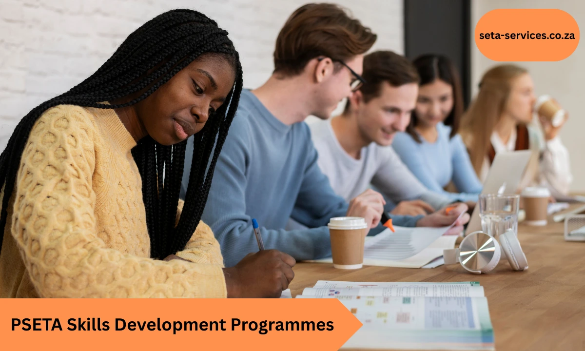 PSETA Skills Development Programmes