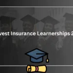 Bidvest Insurance Learnerships 2025