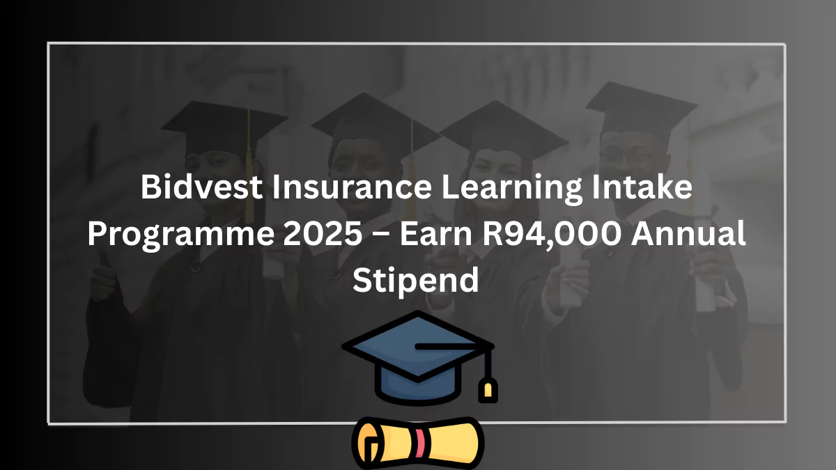 Bidvest Insurance Learning Intake Programme 2025