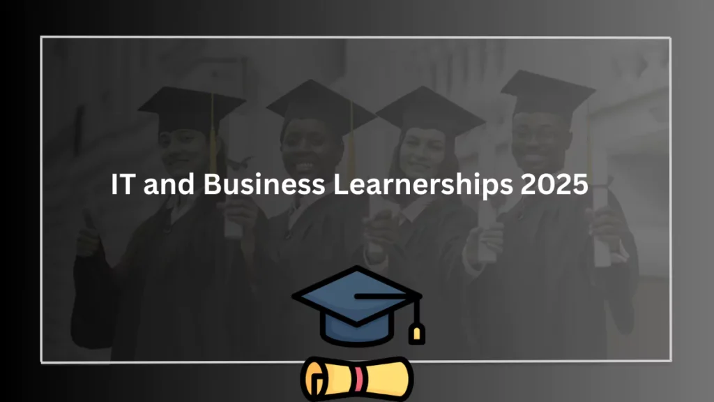 IT and Business Learnerships 2025