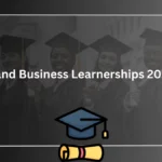 IT and Business Learnerships 2025