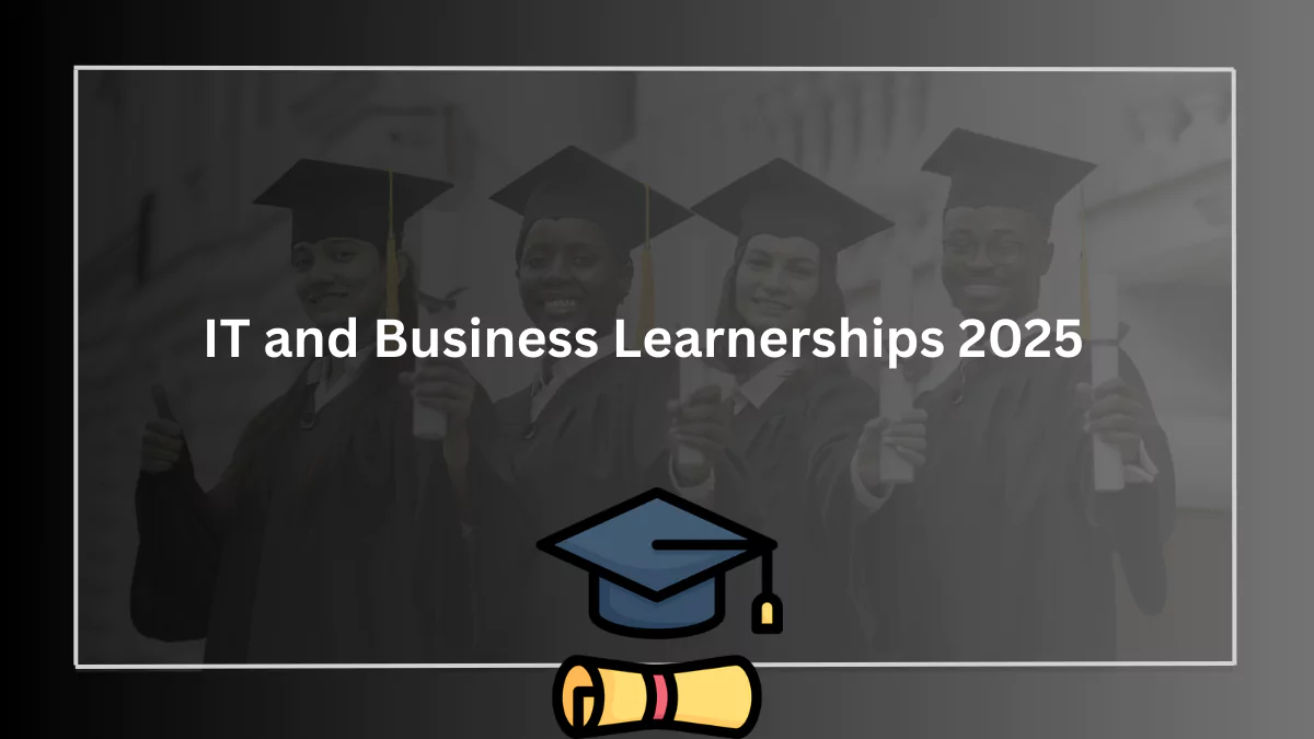 IT and Business Learnerships 2025