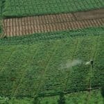 BKB Skills 2026 Learnership