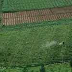 BKB Skills 2026 Learnership