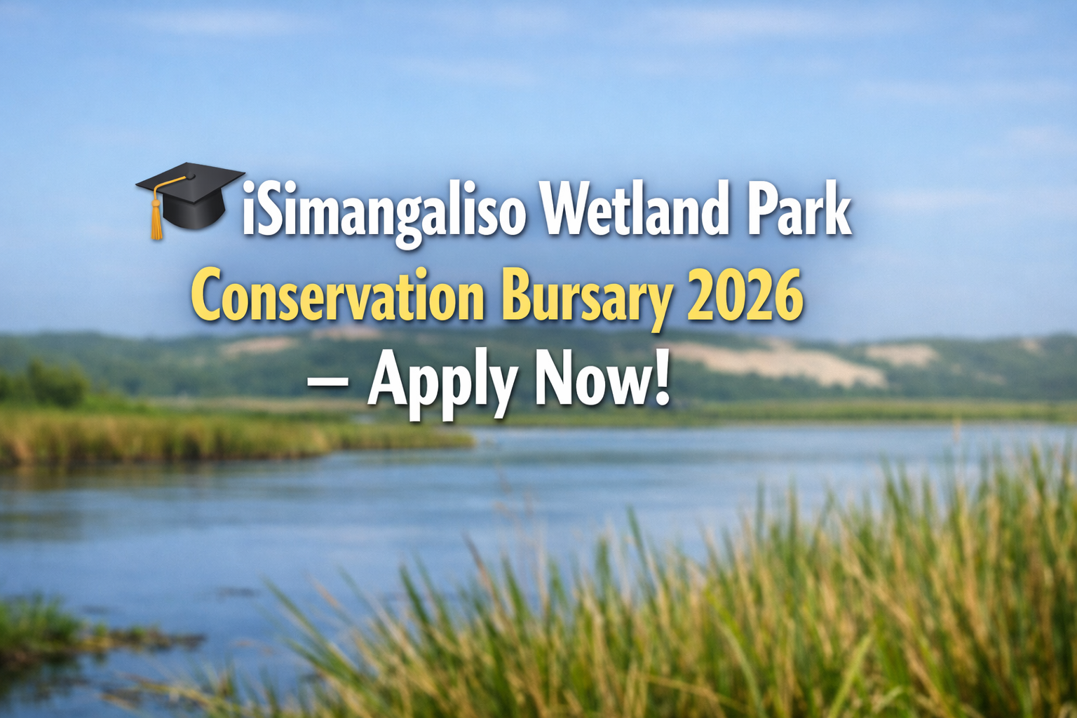 ChatGPT Image Feb 10 2026 08 21 28 PM