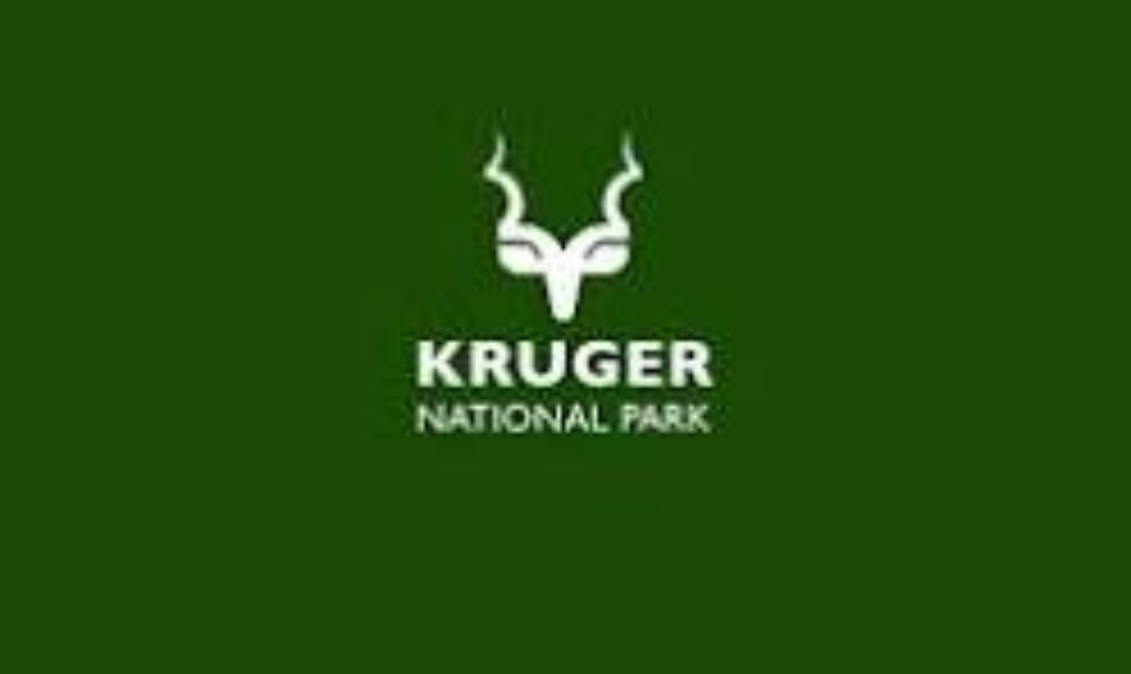 Screenshot 2026 02 18 at 11 05 31 81 General Worker Vacancies Open at Kruger National Park SANParks – Apply by 26 February 2026 – Apply