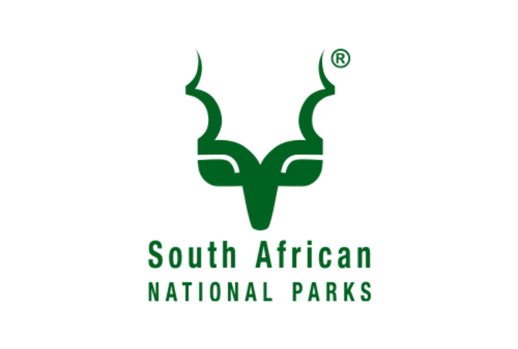 SANParks Graduate Internship Programme 2026 – Kruger National Park (Apply Before 27 March) 1 Screenshot 2026 03 22 at 21 08 13 SANParks Security Guard Positions 2026 X3 Posts – Apply Before 27 March Kazi Jobs