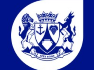 Screenshot 2026 04 29 at 00 46 04 Western Cape Government Internship 2026 2027 New Job Application