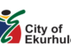 Screenshot 2026 06 08 at 12 02 53 Apply For Permanent Cleaner Job At The City Of Ekurhuleni