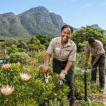 SANBI Candidate Auxiliary Service Officer Vacancy 2026 – Grade 10 and Grade 12 Applicants Can Apply image_7e02667e